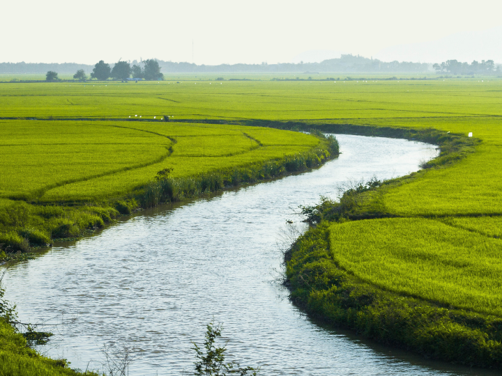 Abb. 15: Pexels - Ein Fluss - canva.com.