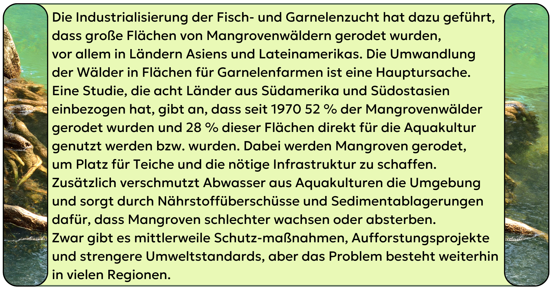 Mangrovenwälder