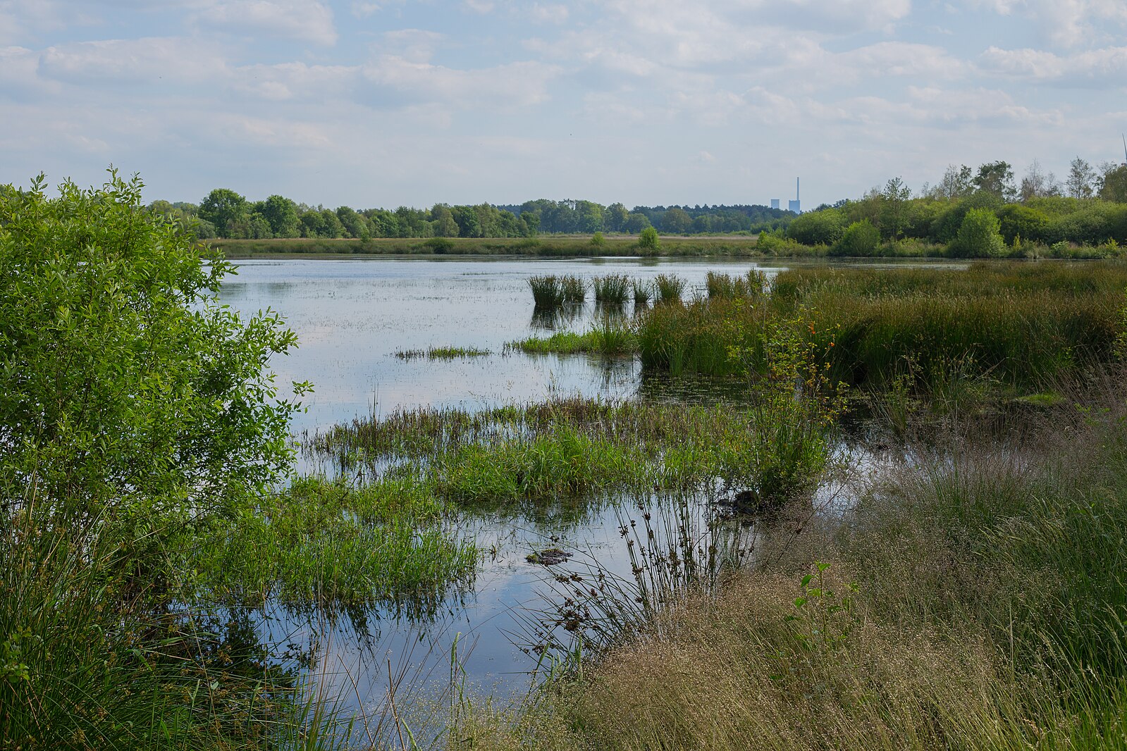 Abb. 8: Jan-Herm Janßen - Unter Wasser stehende Feuchtwiesen im Naturschutzgebiet „Recker Moor“ in Recke (Nordrhein-Westfalen