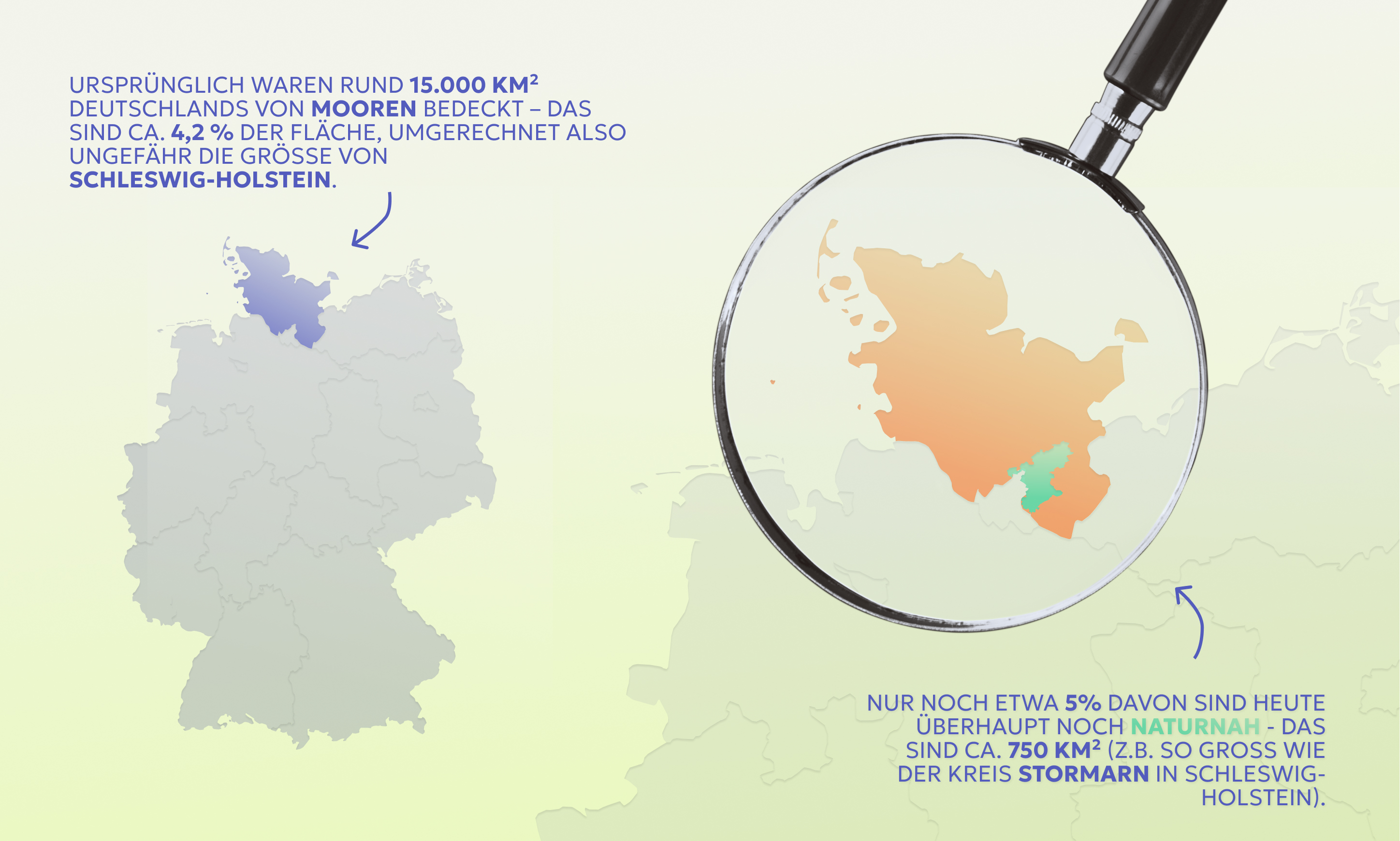 Abb. 2: mycelia gGmbH - Anteil naturnaher Moorfläche die in Deutschland - CC BY-SA. 