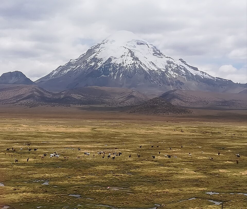 Abb. 13: Diego Calderón Acebey - Der Sajama-Berg und die Bofedals in Chile - CC BY-SA 4.0.