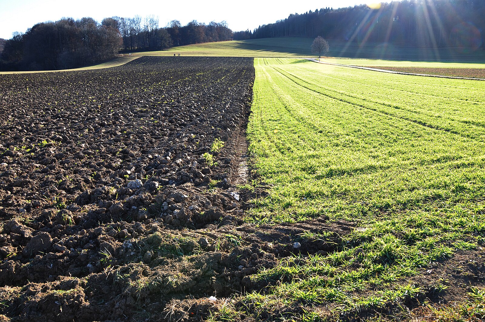 Abb. 18: R.kaelcke - Landwirtschaft am Rande des Torfmoors - CC BY-SA 3.0.
