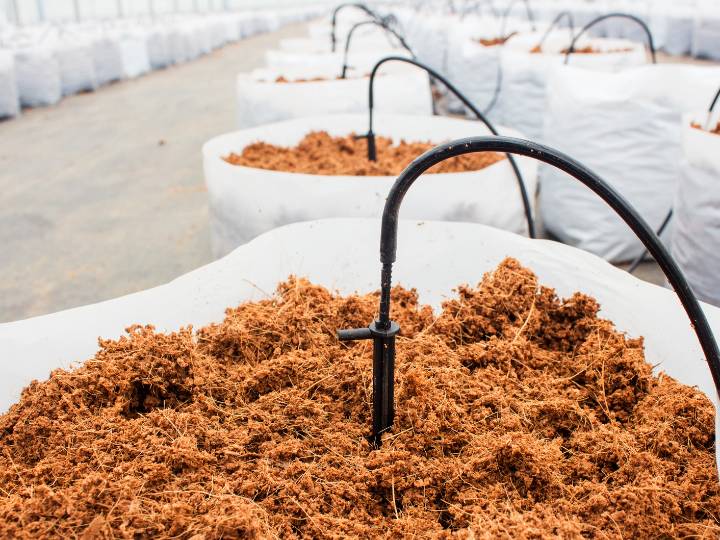 Abb. 20: tortoon - Torf als Pflanzenerde im Gartenbau - canva.com.