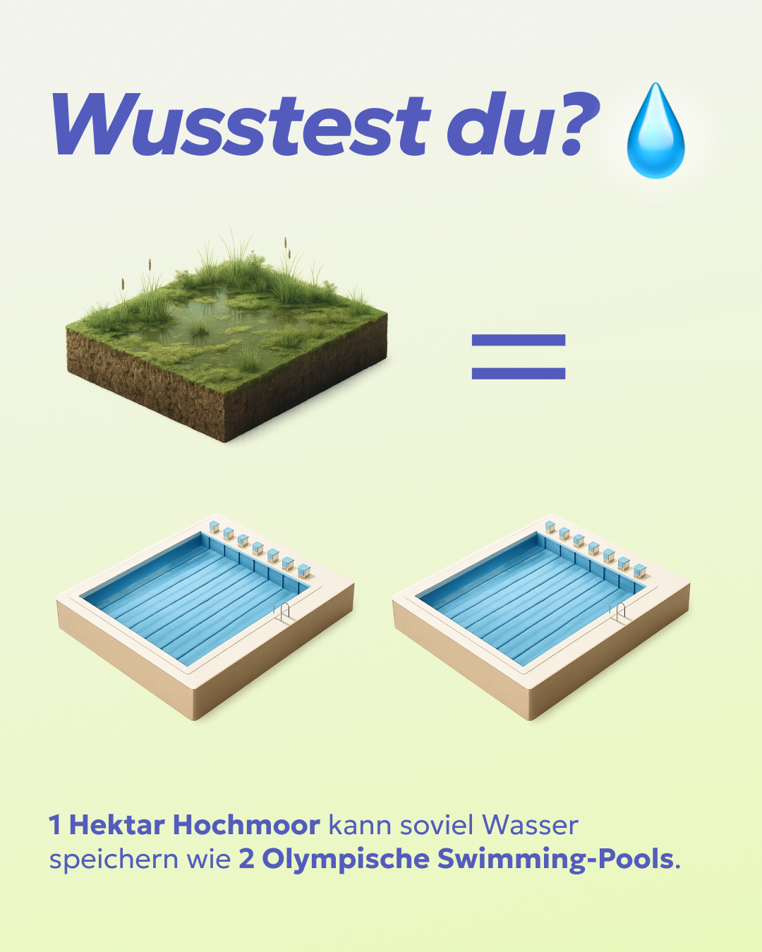 Abb. 2: mycelia gGmbH - Moore als Wasser-Speicher - CC BY-SA.