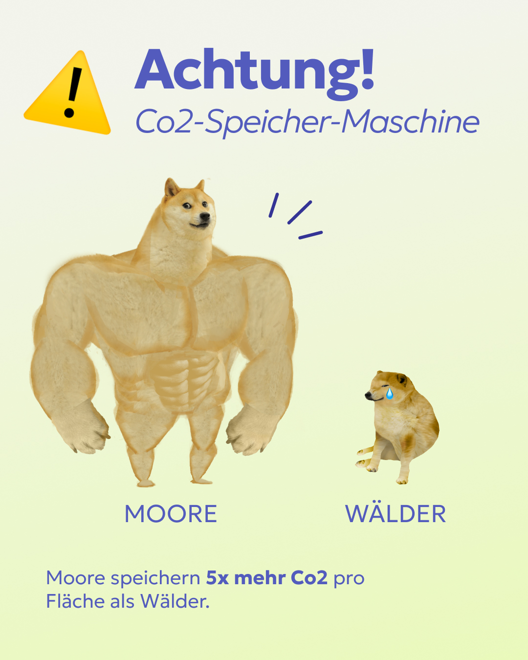 Abb. 4: mycelia gGmbH - Moore als Kohlenstoff-Speicher- CC BY-SA.
