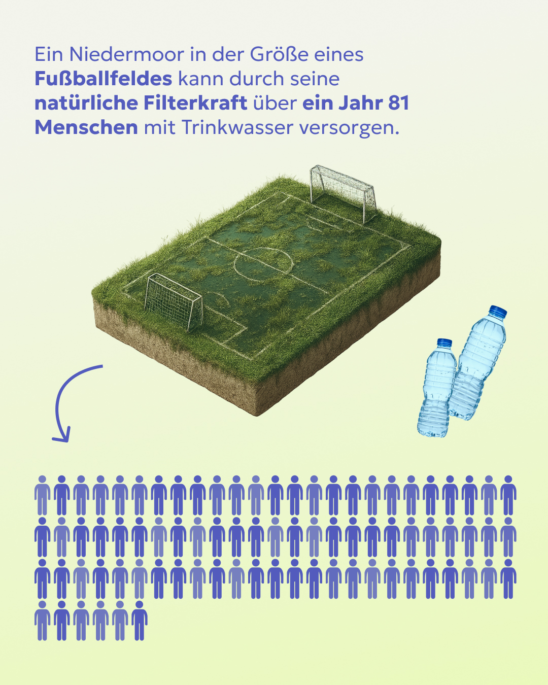 Abb. 3: mycelia gGmbH - Moore als Wasser-Filter - CC BY-SA.