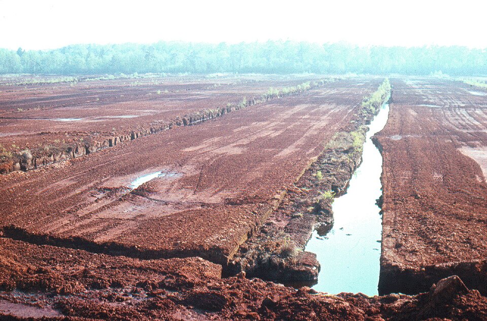 Abb. 8: Dr. Günter Pinzke - Entwässerungsgräben im Woitendorfer Moor bei Gadebusch (Mecklenburg-Vorpommern) 1987 - CC0 1.0 Un
