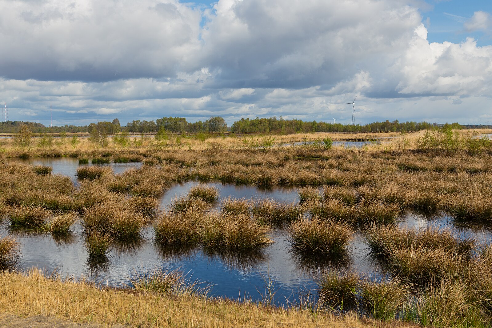 Abb. 7: J.-H. Janßen - Naturschutzgebiet Leegmoor, ein renaturiertes Moor im Landkreis Emsland (Niedersachsen) - CC BY-SA 4.0