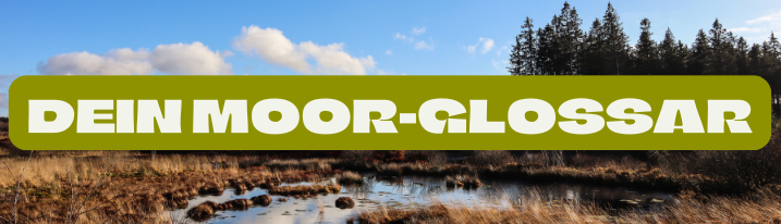 Abb. 22: mycelia gGmbH - Dein Moor-Glossar - canva.com/CC BY-SA.