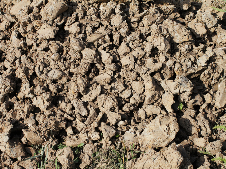 Abb. 16: Whiteway -  lehmiger Boden - canva.com. 