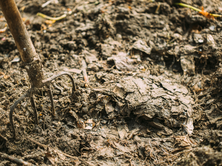 Abb. 39: Grisha Bruev - Verrottender Kompost aus Abfällen auf dem Boden, Humus und Mist - canva.com. 