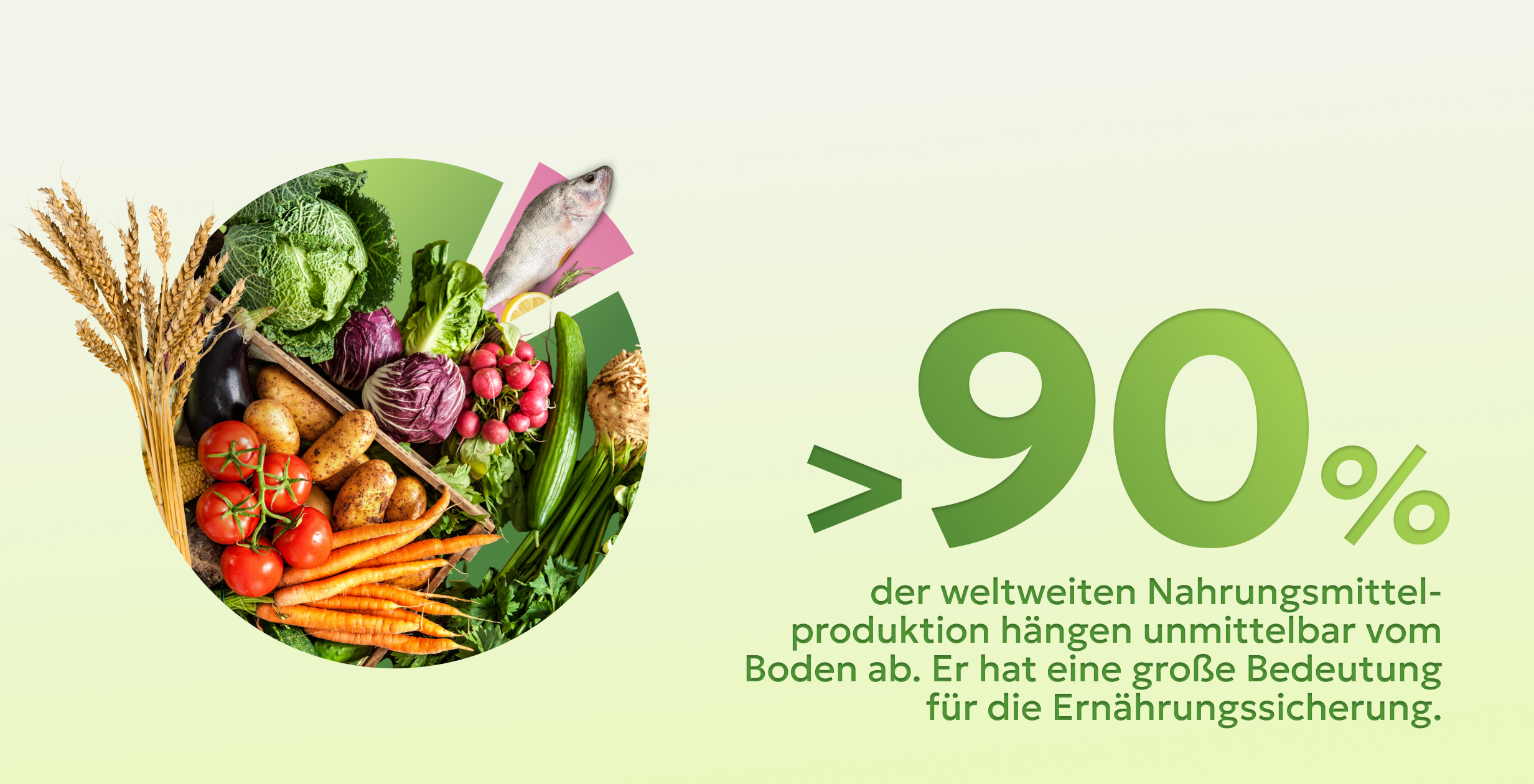 Abb. 6: mycelia gGmbH - Boden als Nahrungsquelle - CC BY-SA.