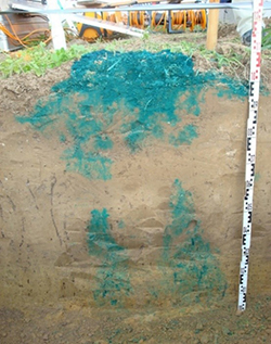 Abb. 15: Bundesanstalt für Geowissenschaften und Rohstoffe - Transportwege des Wassers in einem Lössboden - Individuelle Nutz