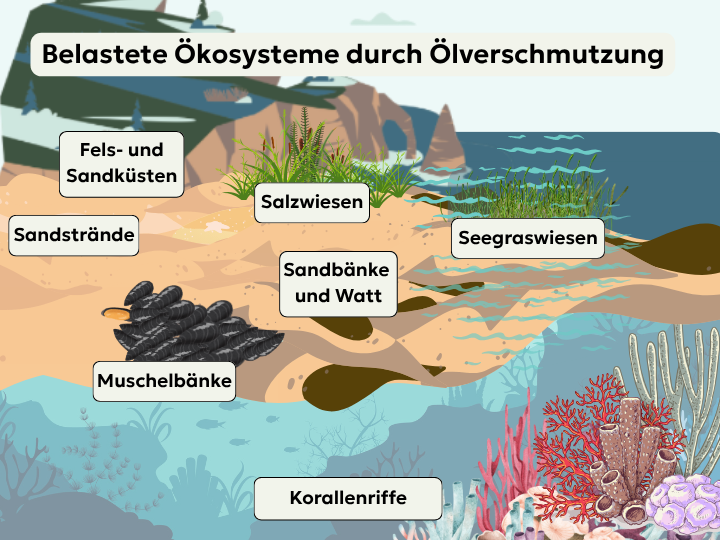 Abb. 8: mycelia gGmbH - Belastete marine Ökosysteme durch Ölverschmutzung - canva.com/ CC BY-SA.
