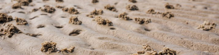 Abb. 12: Aleksei Koldunov - Wattboden - canva.com. 