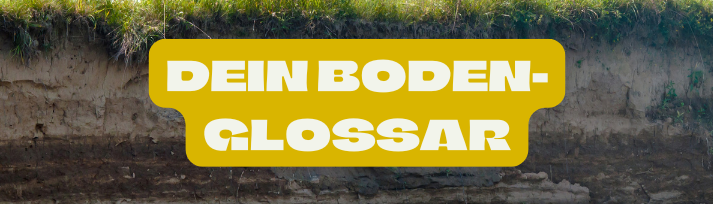 Abb. 25: mycelia gGmbH - Dein Boden-Glossar - canva.com/CC BY-SA.