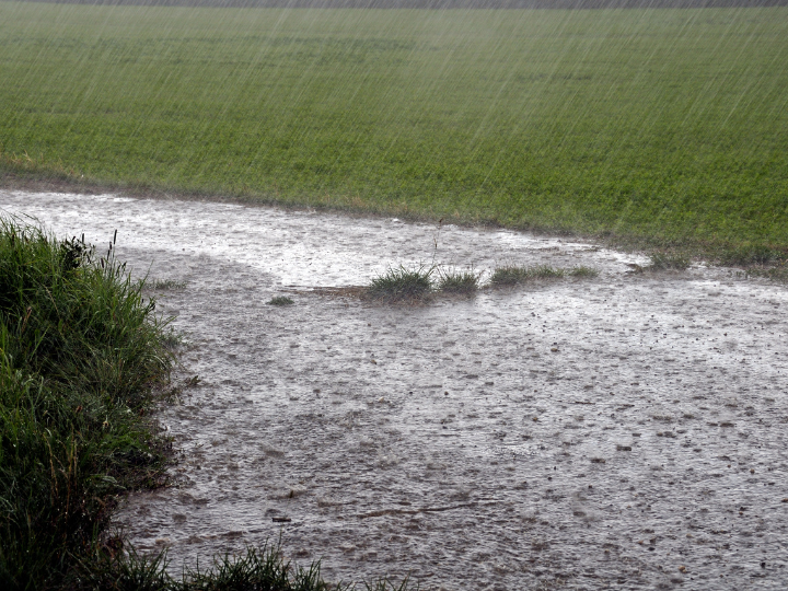 Abb. 19: Carmen Hauser - heavy rain - canva.com. 