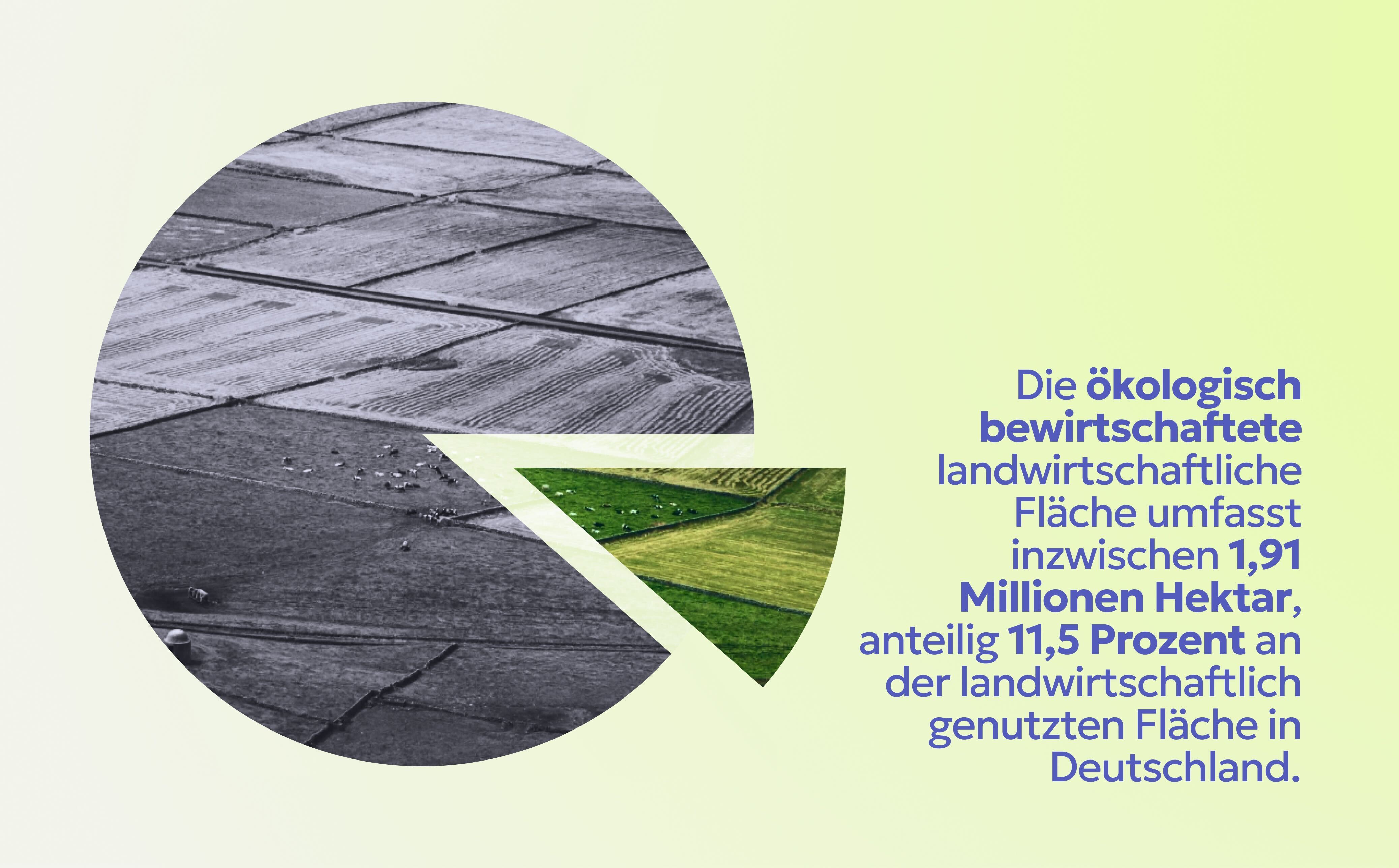 Abb. 4: mycelia gGmbH - Ökologisch landwirtschaftliche Fläche in Deutschland - CC BY-SA.