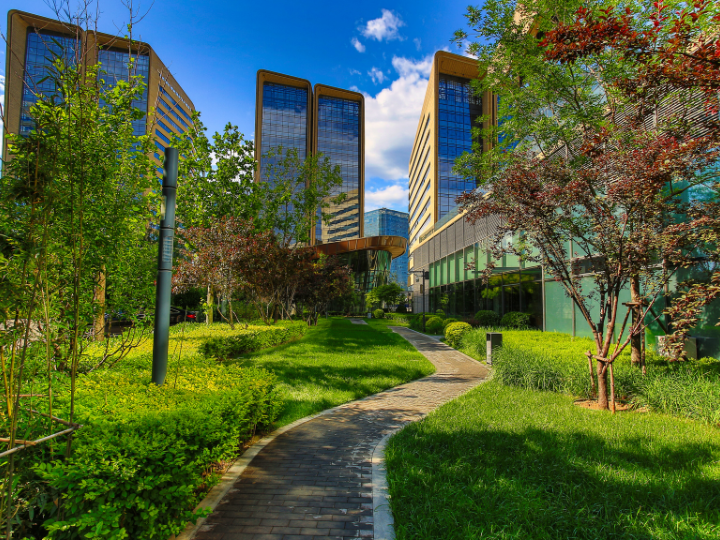 Abb. 8: zhangxiaomin - Grünerbereich in der Stadt - canva.com.