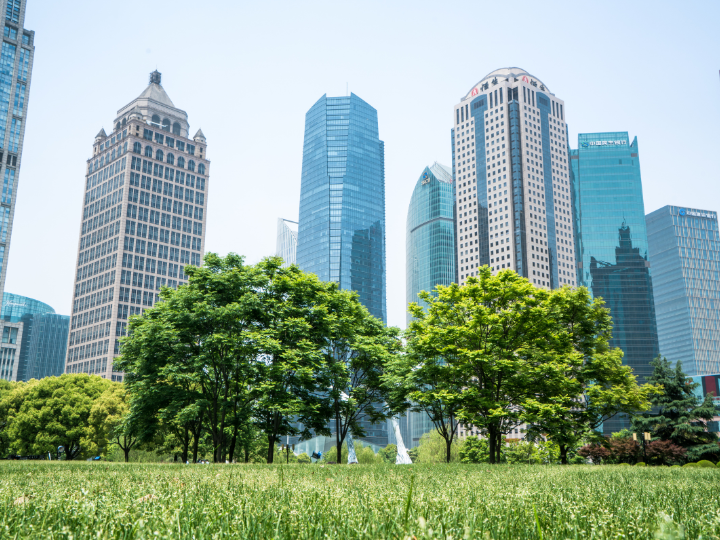 Abb. 9: CHUNYIP - Grüner Stadtpark in Shanghai - canva.com.