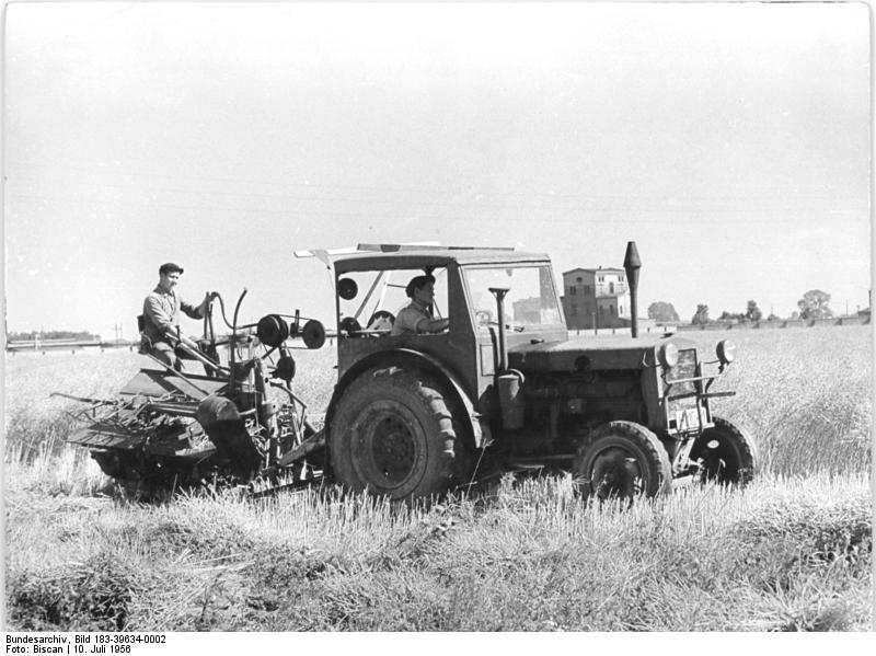 Abb. 13: Wilhelm Bisen - Rapsernte an der Elbe Im Bezirk Magdeburg 1956 - CC BY-SA 3.0 DE.