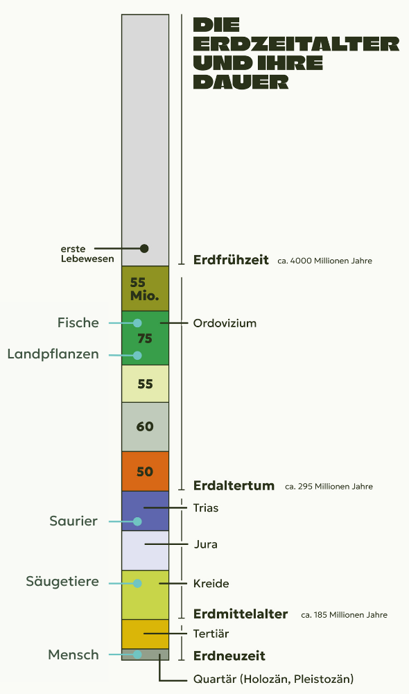 Abb. 9: mycelia gGmbH - Die Erdzeitalter und ihre Dauer - CC BY-SA.