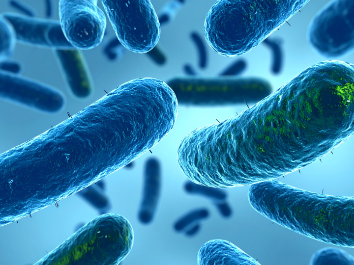 Abb. 18: TrueCreatives - Stäbchenförmige Bakterien - canva.com.