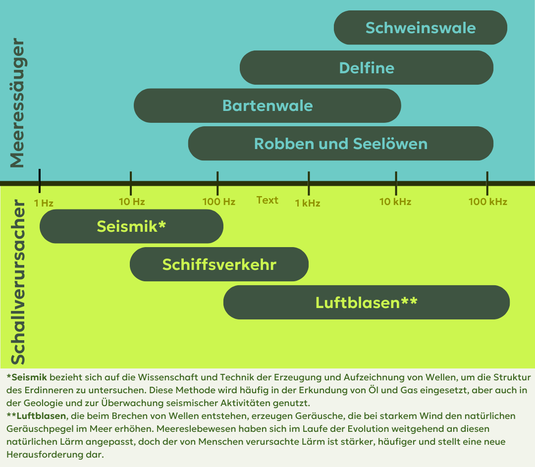 Abb. 5&nbsp;mycelia gGmbH - Maskierung Was hören marine Säugetiere? (University of Rhode Island&nbsp;and&nbsp;Inner Space Center)&nbsp;-&nbsp;canva.co