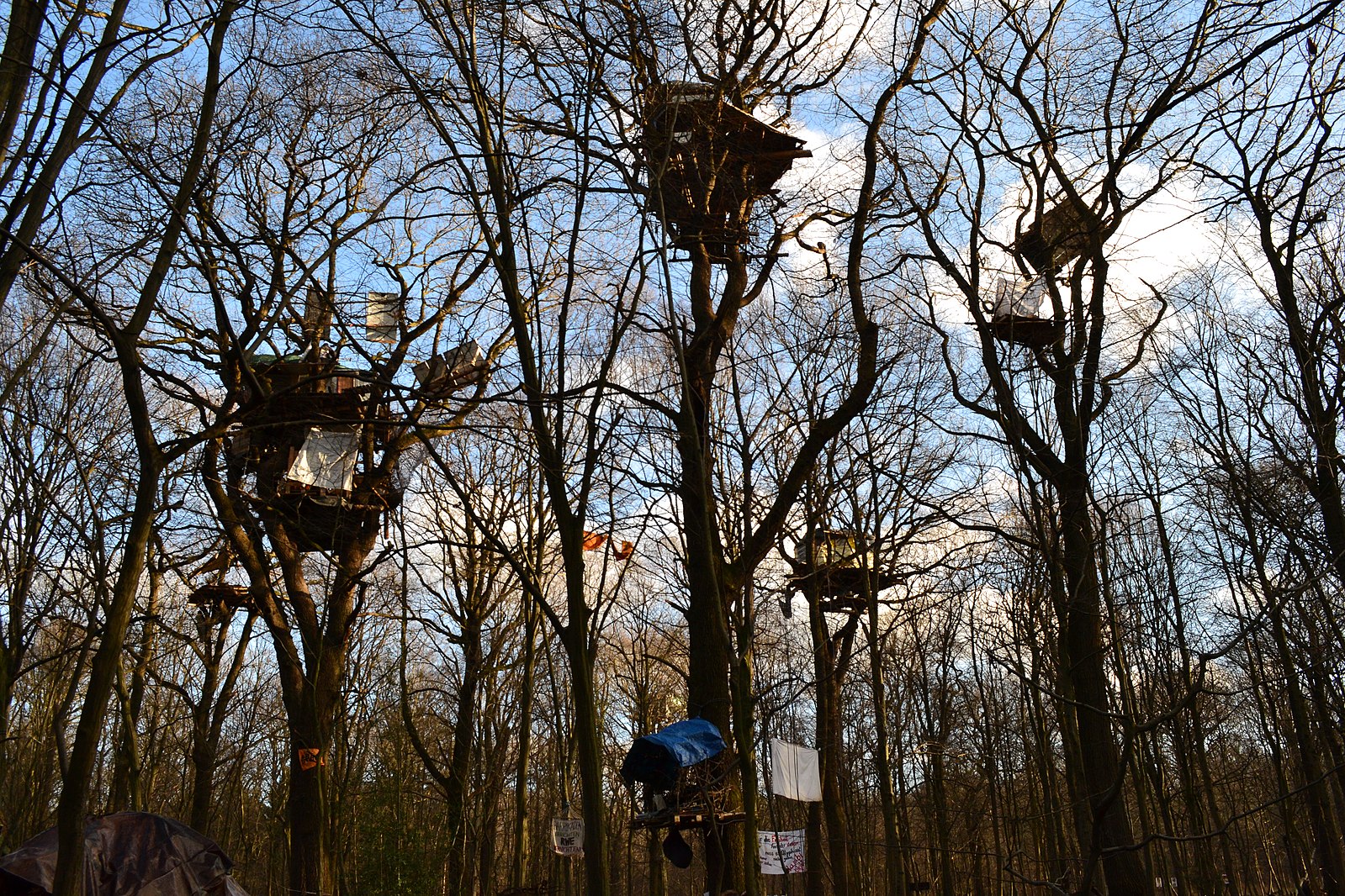 Abb. 7: Marica Vitt - Protestcamp in der Hambacher Forst - CC BY 4.0. 