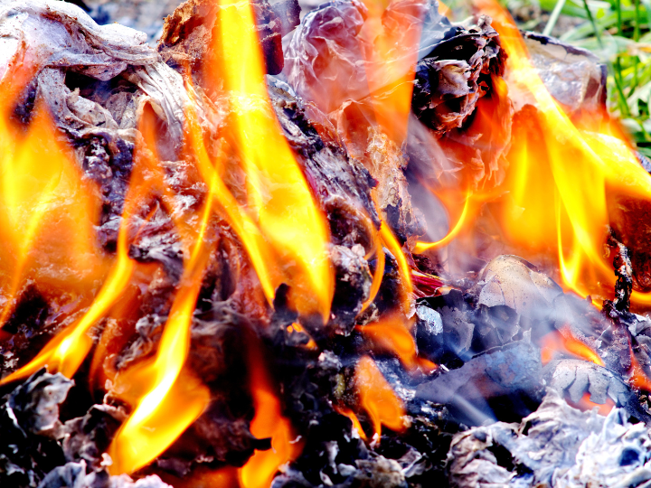 Abb. 22: jaranjen - Incineration - canva.com. 