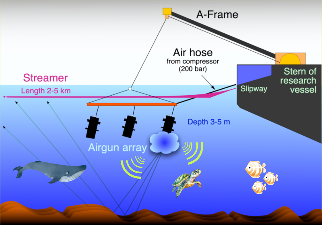 Abb. 11:&nbsp;Hannes Grobe, Alfred Wegener Institute (verändert durch mycelia gGmbH) - Seismic Airguns, die hinter einem Schiff he