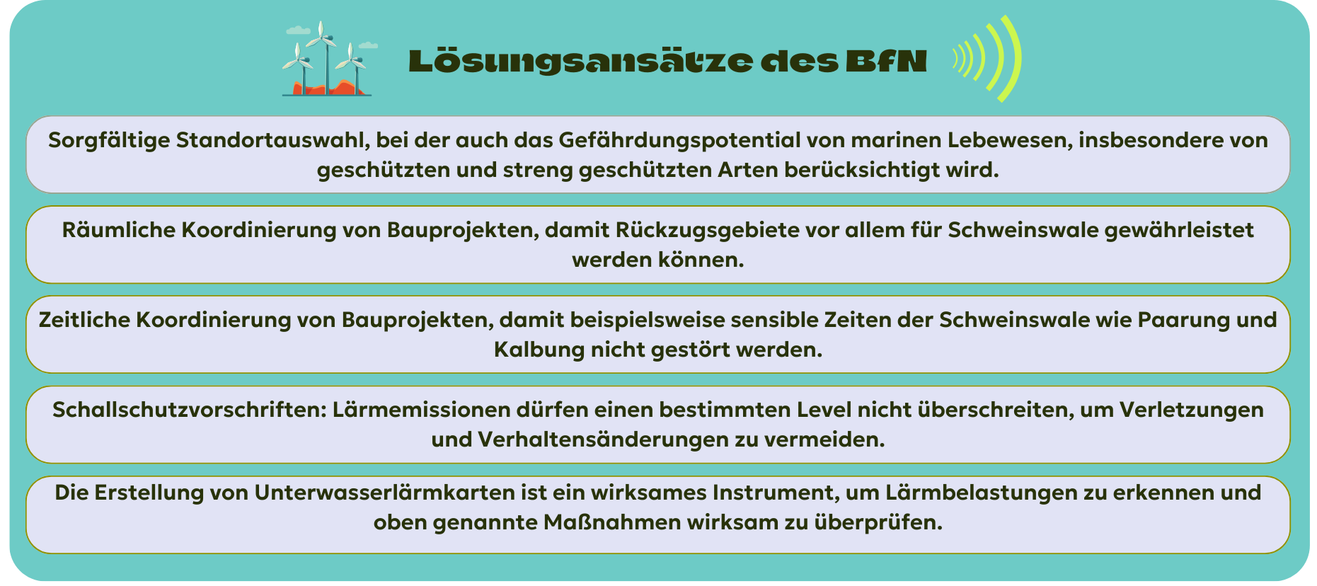 Lösungsansätze des BfN