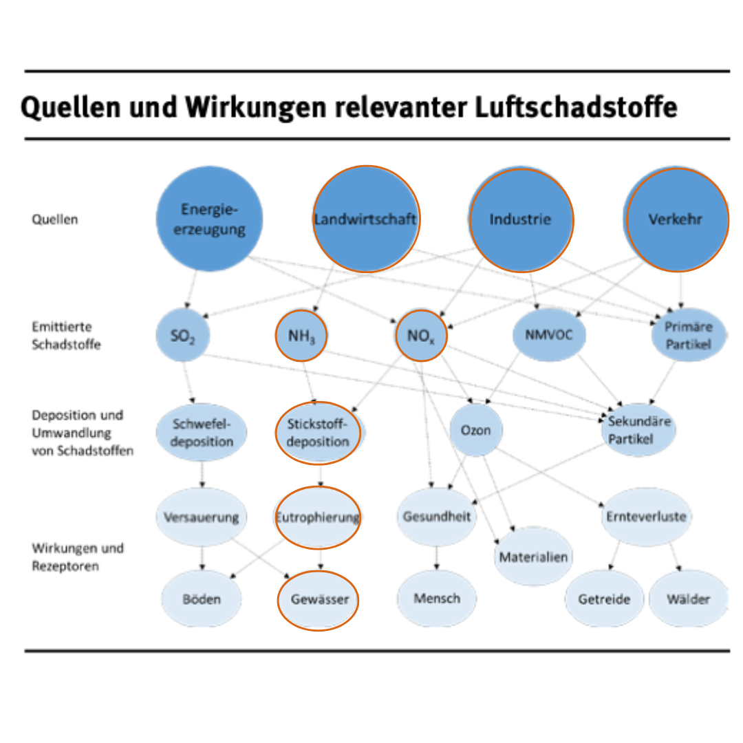 Abb: 6: Umweltbundesamt - Quellen und Wirkungen relevanter Luftschadstoffe - CC BY-NC-ND 4.0.