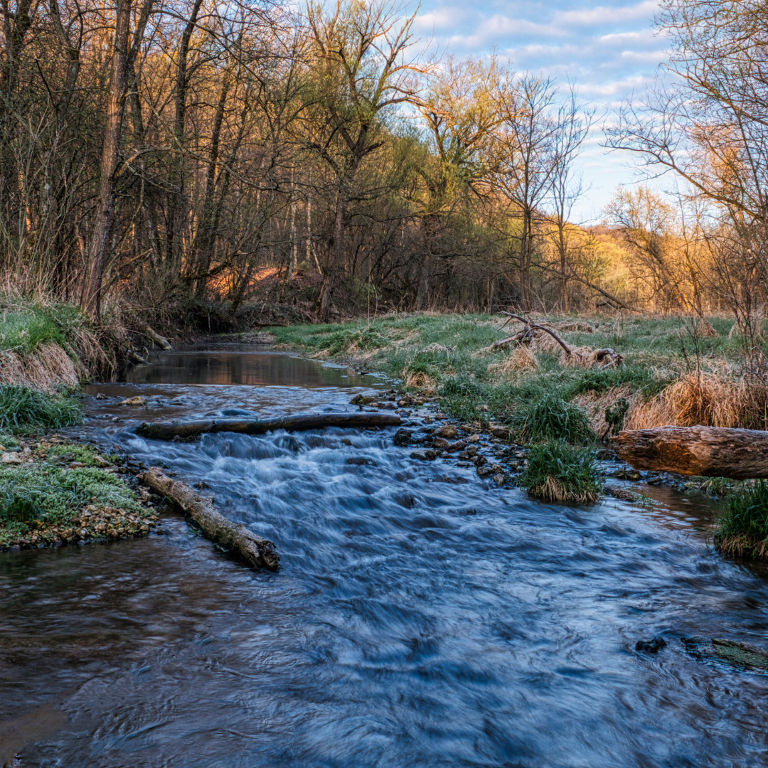 Abb. 22: Tom Fisk - Flusslauf - canva.com. 